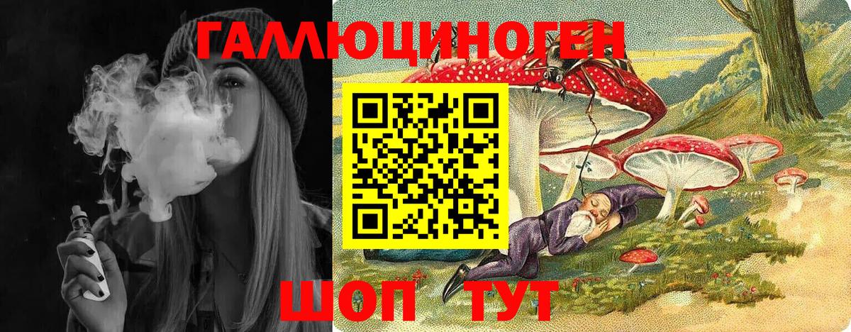Камышин  Псилоцибиновые грибы мухоморы  Вход с VPN 